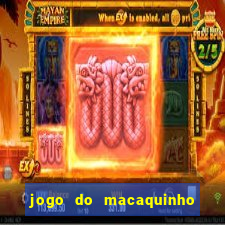 jogo do macaquinho que ganha dinheiro